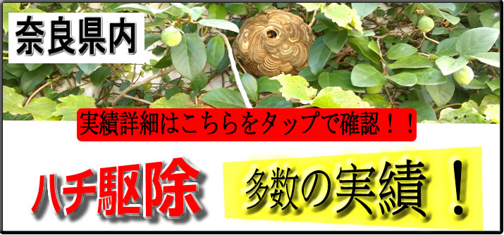 奈良県内ハチ駆除実績多数